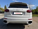 Porsche Cayenne Diesel Platinum Edition / Sport Chrono - Porsche Cayenne S-Platinum-Edition