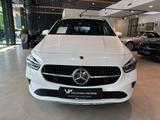 Mercedes-Benz B 180 +MULTIBEAM+FAHRASSI+DISTR+KAMERA+AHK - Mercedes-Benz: 180 D