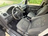 Volkswagen Caddy 1,2TSI 77kW Roncalli 5-Sitze Roncalli - Volkswagen Caddy in Osnabrück