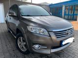 Toyota RAV 4 2,2-l-D-CAT 4x4 Executive  - Toyota RAV 4: D Cat