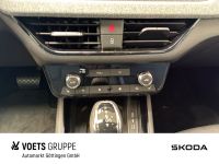 Skoda Scala - Vorschau Bild 8