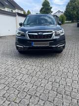 Subaru Forester - Subaru Forester in Wuppertal