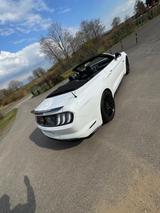 Ford Mustang 5.0 Ti-VCT V8 GT 10Gang/MagneRide/B&O - Ford Mustang in Bonn