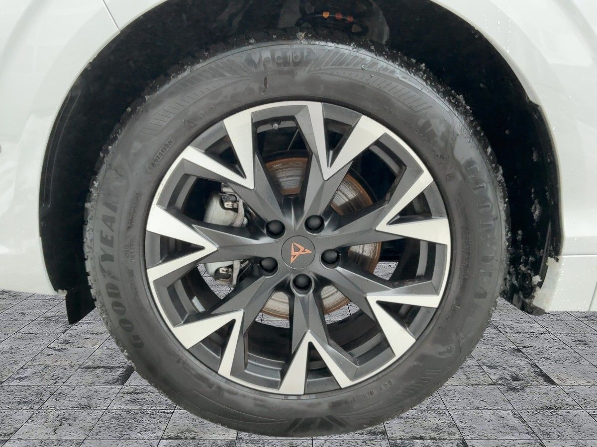 Cupra Terramar - Bild 8