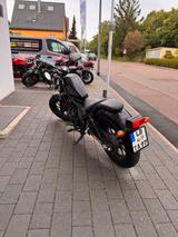 Honda CMX 500 Rebel - Offers