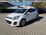 Kia Rio ISG+Klimaauto+Alu 16+PDC+Lenkrad/Sitzhzg+BT - gebrauchte Kia Rio aus dem Jahr 2016