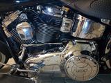 Harley-Davidson Softail Deluxe mit Zertifikat  - HARLEY-DAVIDSON SOFTAIL
