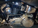 Harley-Davidson Softail Deluxe mit Zertifikat  - CHOPPER SOFTAIL