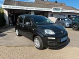 Fiat Panda 1.2 "My Panda" Klima-RD/CD/Blue&Me-elek... - Fiat Gebrauchtwagen in Kiel
