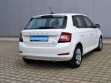Skoda Fabia 1.0 TSI 95 PS Ambition NAVI/SOUND-PAKET/GR - Skoda Fabia: 1.9