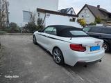BMW M240i xDrive Steptronic Cabrio - - BMW M240i: 240