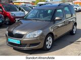 Skoda Roomster 1.2l TSI 77kW Plus Edition - Skoda Roomster: 2.1