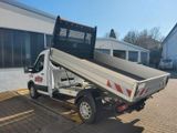 Ford Transit Pritsche 350 L2 Einzelkabine Kipper ! - Ford Transit: Kipper