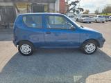 Fiat Seicento 1.1i cat CLIMA E SERVOSTERZO - gebrauchte Fiat Seicento aus dem Jahr 2003