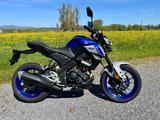 Yamaha MT 125 - Offers