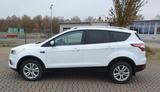 Ford Kuga 2,0 TDCi 4x2 110kW / 150 PS mit AHK - Ford: 15m