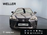Lexus UX 250h Launch Edition *Bi-LED*ACC*CAM*SHZ*Navi* - Lexus UX 250h Gebrauchtwagen