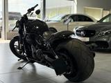 Harley-Davidson VRSCDX V - Rod Night Rod Special Cult Werk Penzl - HARLEY-DAVIDSON VRSCDX