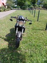 Ducati Monster S4 Senna Edition - Offers matching your search criteria