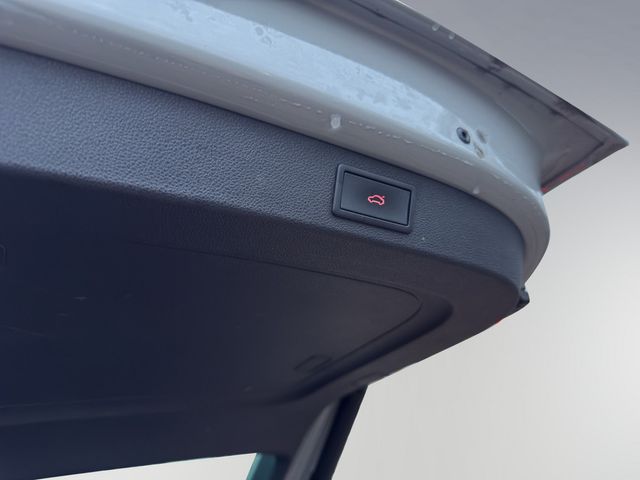 Kodiaq 2.0TSI DSG 4x4 RS AHK