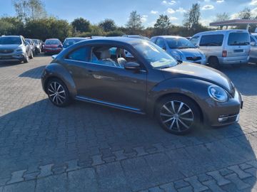 Volkswagen Beetle - 4