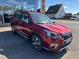 Subaru Forester Platinum Leder Navi Kamera - gebrauchte Subaru Forester aus dem Jahr 2020