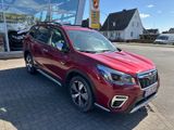 Subaru Forester Platinum Leder Navi Kamera - Subaru Forester aus 2020