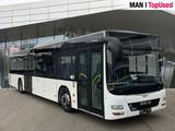 MAN LION'S CITY / A20