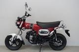 Honda ST 125 Dax *TOP-ZUSTAND* - HONDA DAX