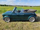 MINI Mini Cooper 1.3i Lamm Cabrio - MINI MINI aus 1995