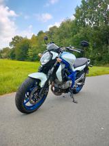 Suzuki Gladius SFV650A - SUZUKI GLADIUS 650