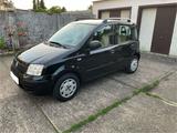 Fiat Panda 1.2 69 PS Klimaanlage 4/5 Türer - Fiat Panda mit Benzin-Antrieb: Kleinwagen, 1.4