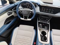 Audi RS e-tron GT - Vorschau Bild 14