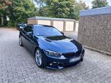 BMW 430d M Sport Paket - BMW 430: M Paket