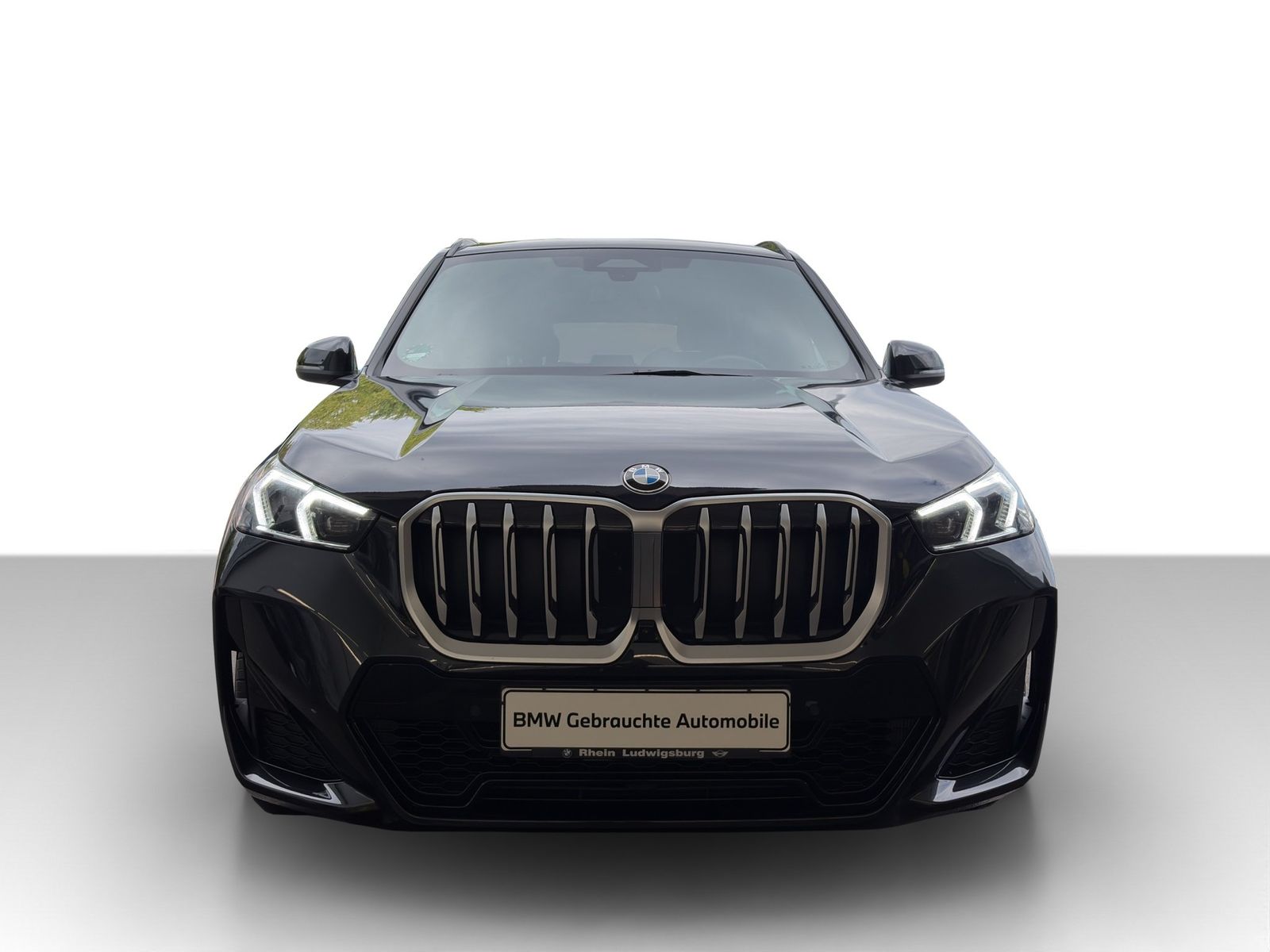 BMW X1 sDrive20d M Sportpaket DrivAs HiFi Adap LED foto 4