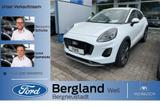 Ford Puma TITANIUM 1.0T 125 PS MHEV Automatik - Neuwagen: 12 Auto