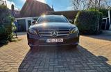 Mercedes-Benz E 220 d Avantgarde 9G-Tronic AHK - Mercedes-Benz E 220 in Krefeld