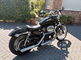 Harley-Davidson Sportster XL883C - Top gepflegt - HARLEY-DAVIDSON 2000