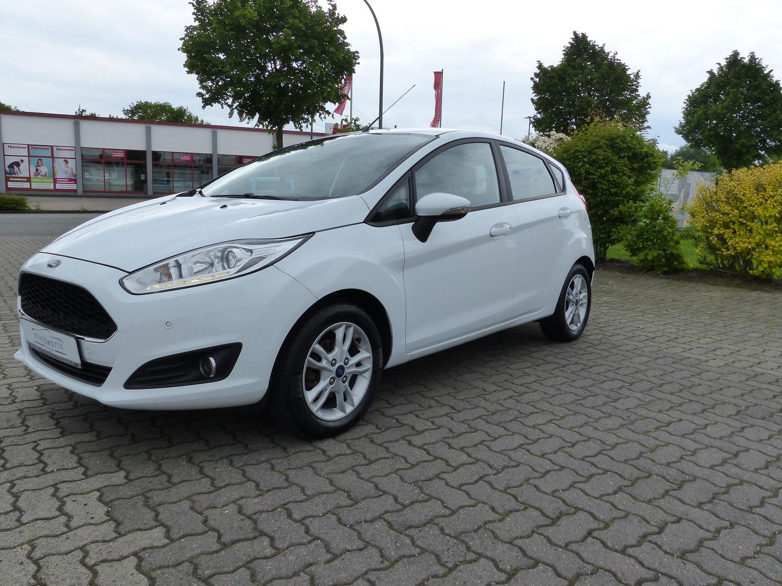 Ford Fiesta 1.0 EcoBoost Celebration Winter-Paket+AHK