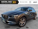 Mazda CX-30 G150 Exclusive-Line 2WD ACC HUD Navi - gebrauchte Mazda CX-30 aus dem Jahr 2024