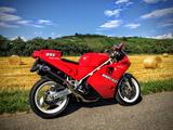Ducati 851 S1 Superbike - DUCATI SUPERBIKE