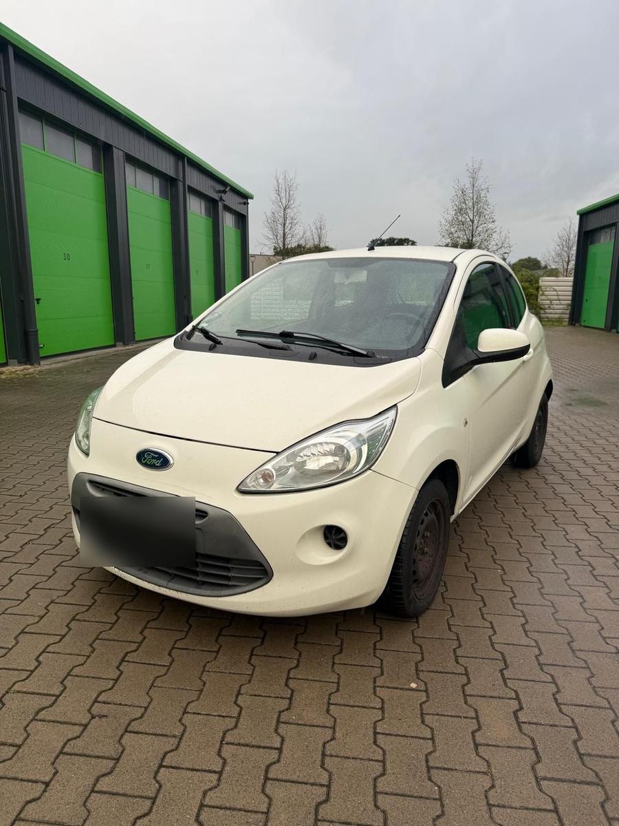 Ford Andere