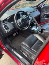 Jaguar E-Pace P200 AWE Aut. R-Dynamik - Jaguar in Köln