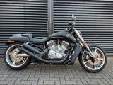Harley-Davidson V- Rod Muscle| VRSCF | NLC 2in2 - HARLEY-DAVIDSON NLC