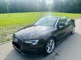Audi A5 1.8 TFSI Cabriolet, S-Line, Navi, Aut.,  - Audi A5 8T Gebrauchtwagen