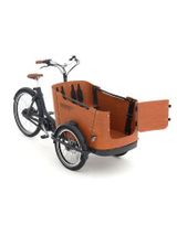 Babboe Go Mountain, Enviolo Schaltung, 500Wh Akku, 70Nm - Babboe E-Bikes