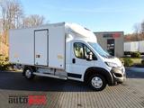 Peugeot BOXER KÜHLKOFFER 0C 8 PALETTEN TEMPOMAT LED - Peugeot Doppelkabine