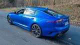 Kia Stinger 3.3 AWD GT Bastuck Klappe Pano-Dach - Kia Stinger: Von Privat