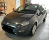 Fiat Punto 1.2 8V 5 porte Young-solo km 55834- - Fiat Punto: 55s