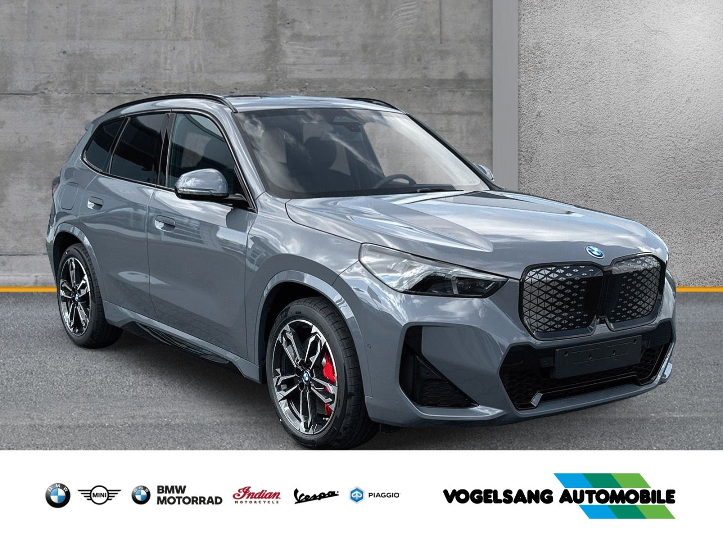 Fahrzeugabbildung BMW iX1 eDrive20 M Sport Park-Assistent Plus harman/